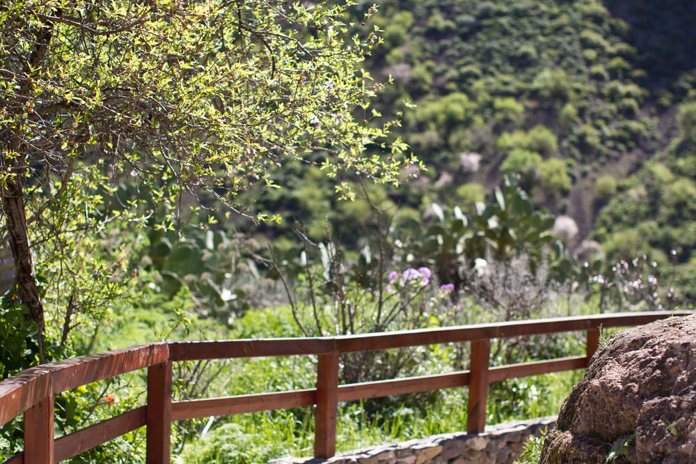Casas Rurales De Guayadeque 잉헤니오 외부 사진